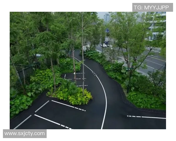 以运动场为中心探索城市公共空间的多功能利用与环境整治创新